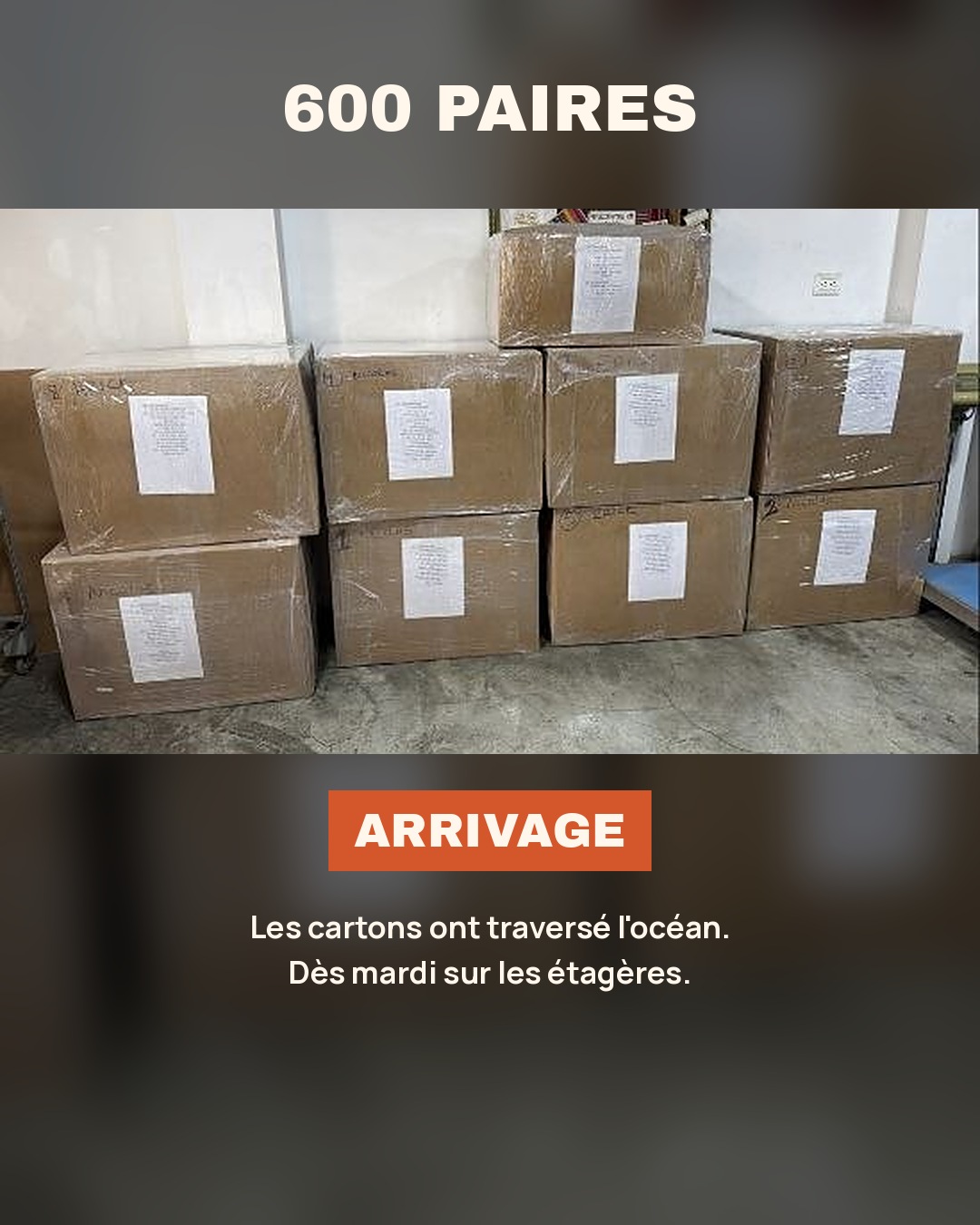 Les cartons du nouvel arrivage Inkao